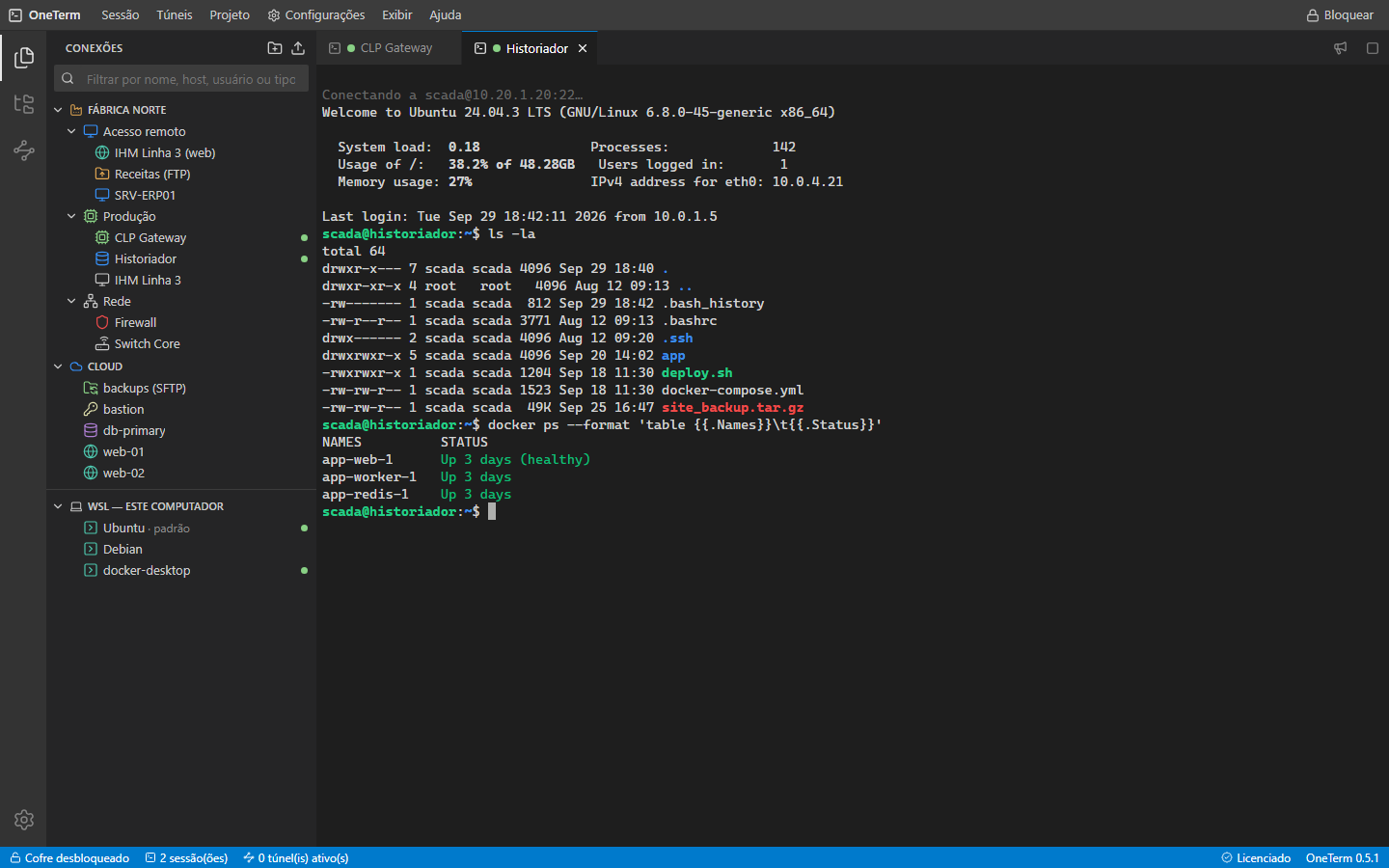 Árvore de projetos, pastas e conexões com abas de terminal